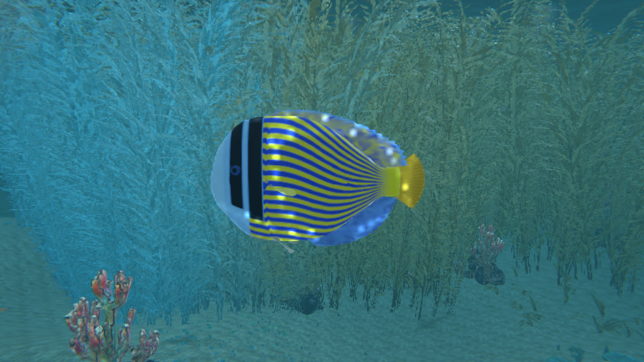 A striped angelfish in front of a kelp wall